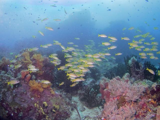 Nomad Divers Bangka Likupang Eksteriør bilde
