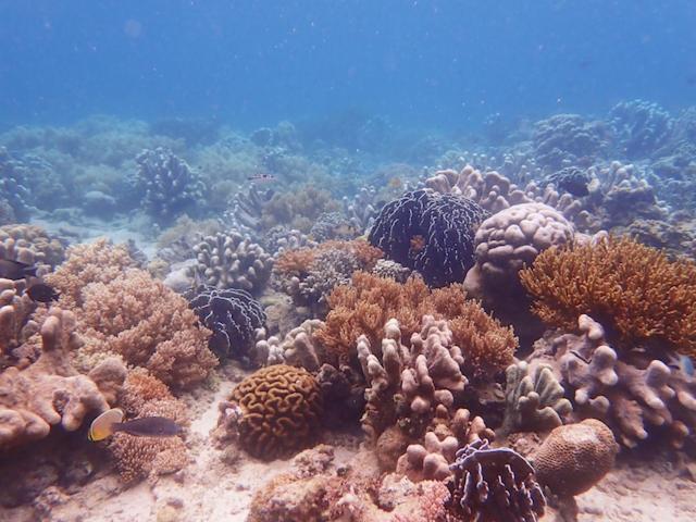 Nomad Divers Bangka Likupang Eksteriør bilde